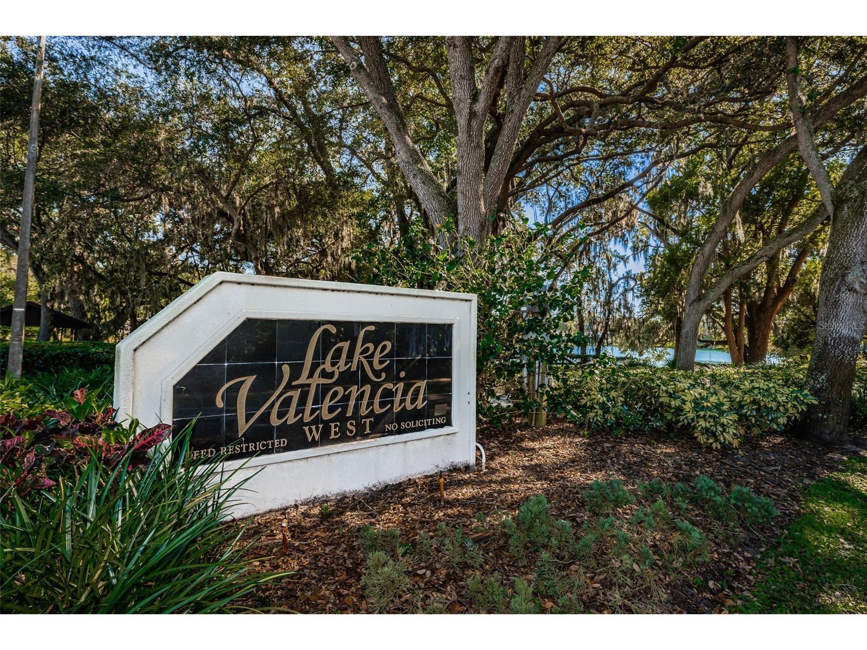 2829 Tangelo Way Palm Harbor FL 34684 TB8509457 image37