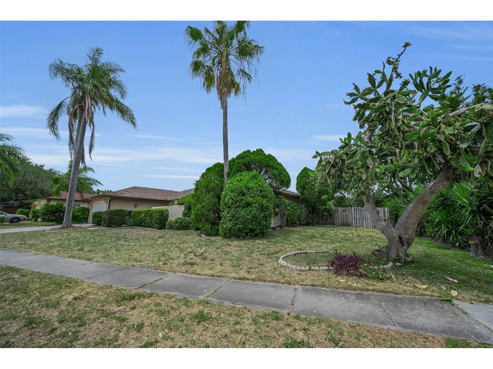 2829 Tangelo Way Palm Harbor FL 34684 TB8509457 image4