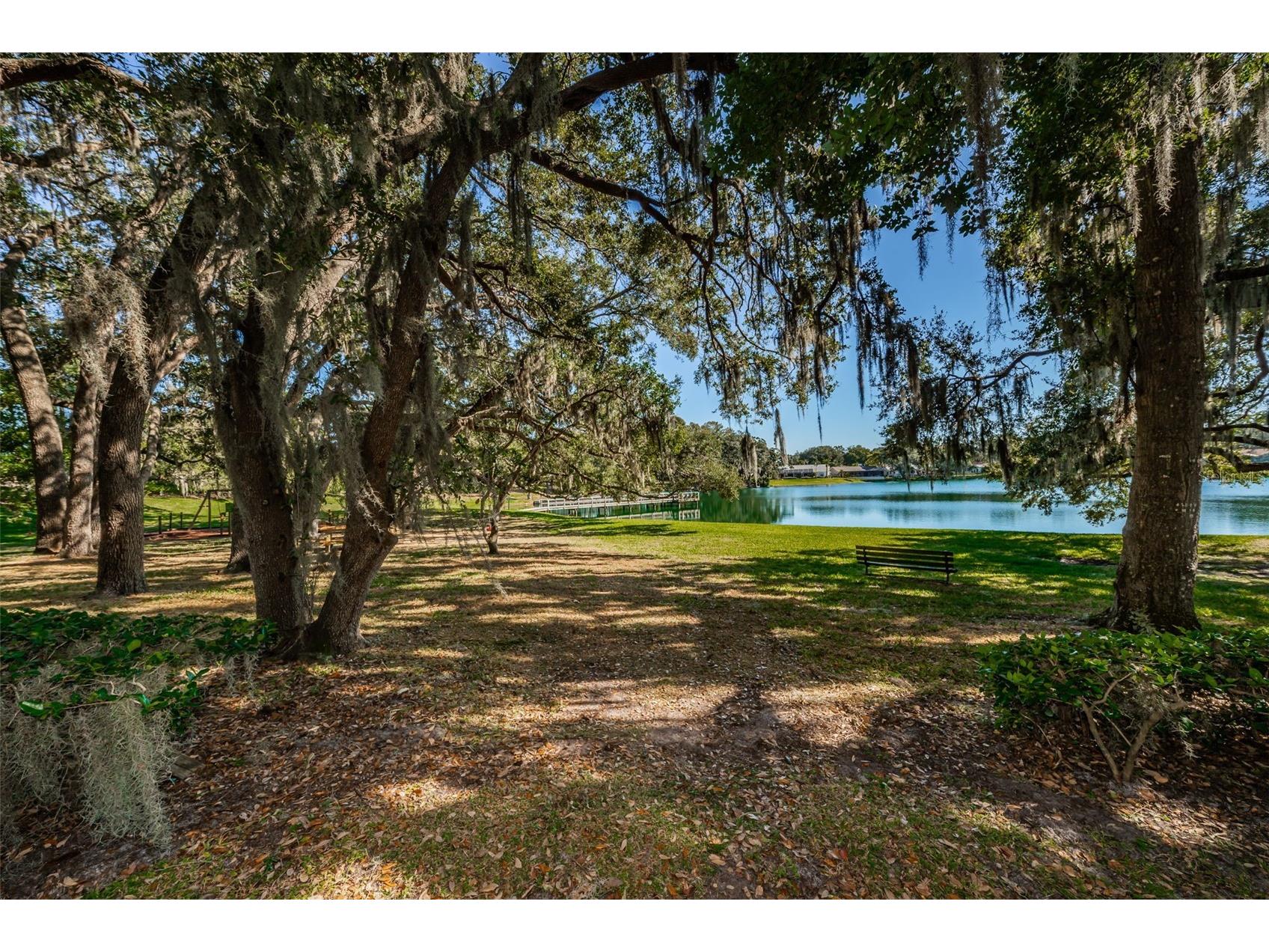 2829 Tangelo Way Palm Harbor FL 34684 TB8509457 image40