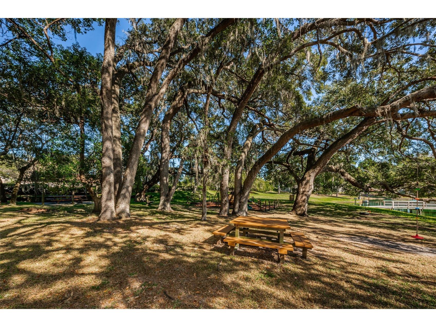 2829 Tangelo Way Palm Harbor FL 34684 TB8509457 image41