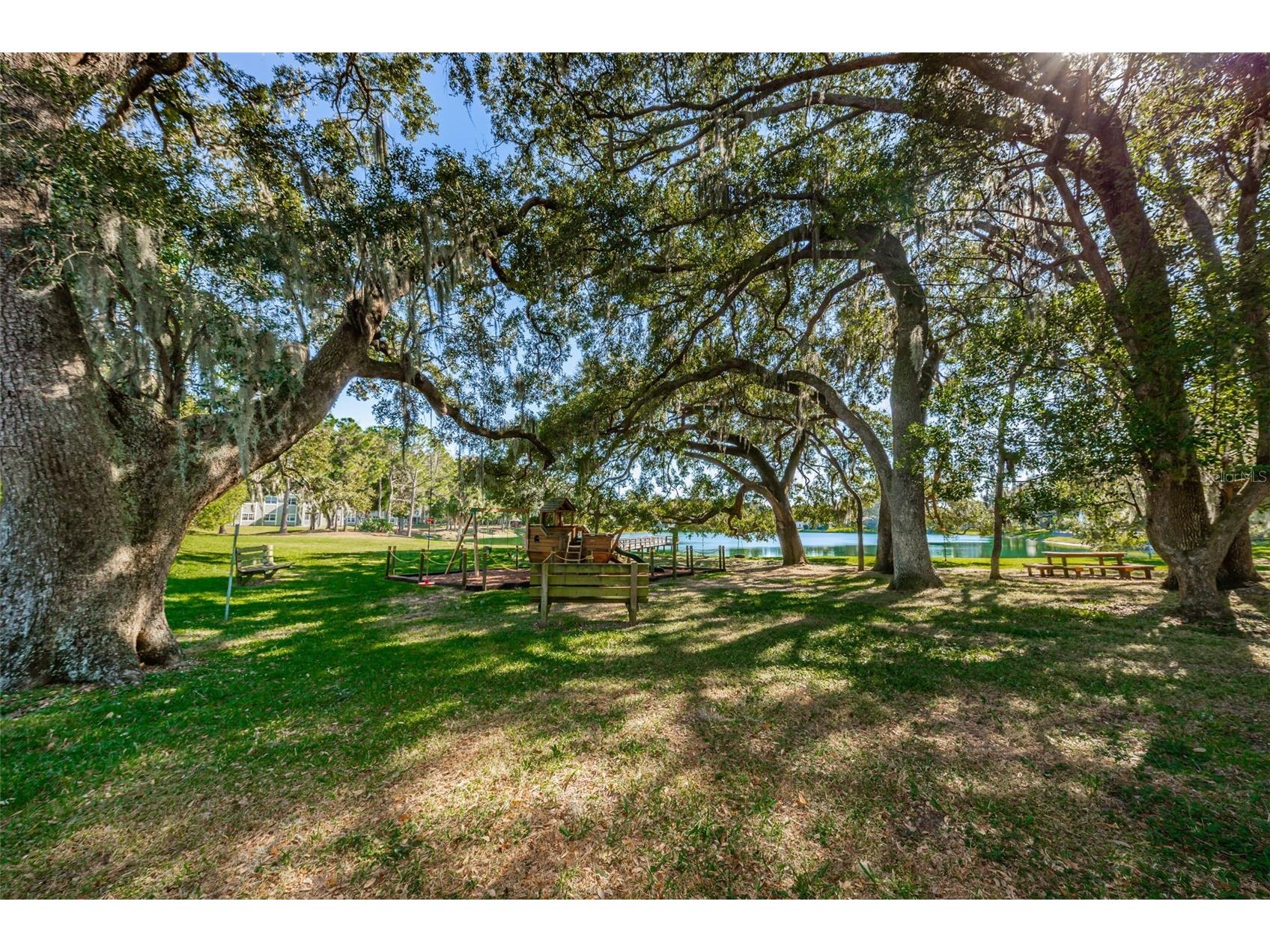 2829 Tangelo Way Palm Harbor FL 34684 TB8509457 image44