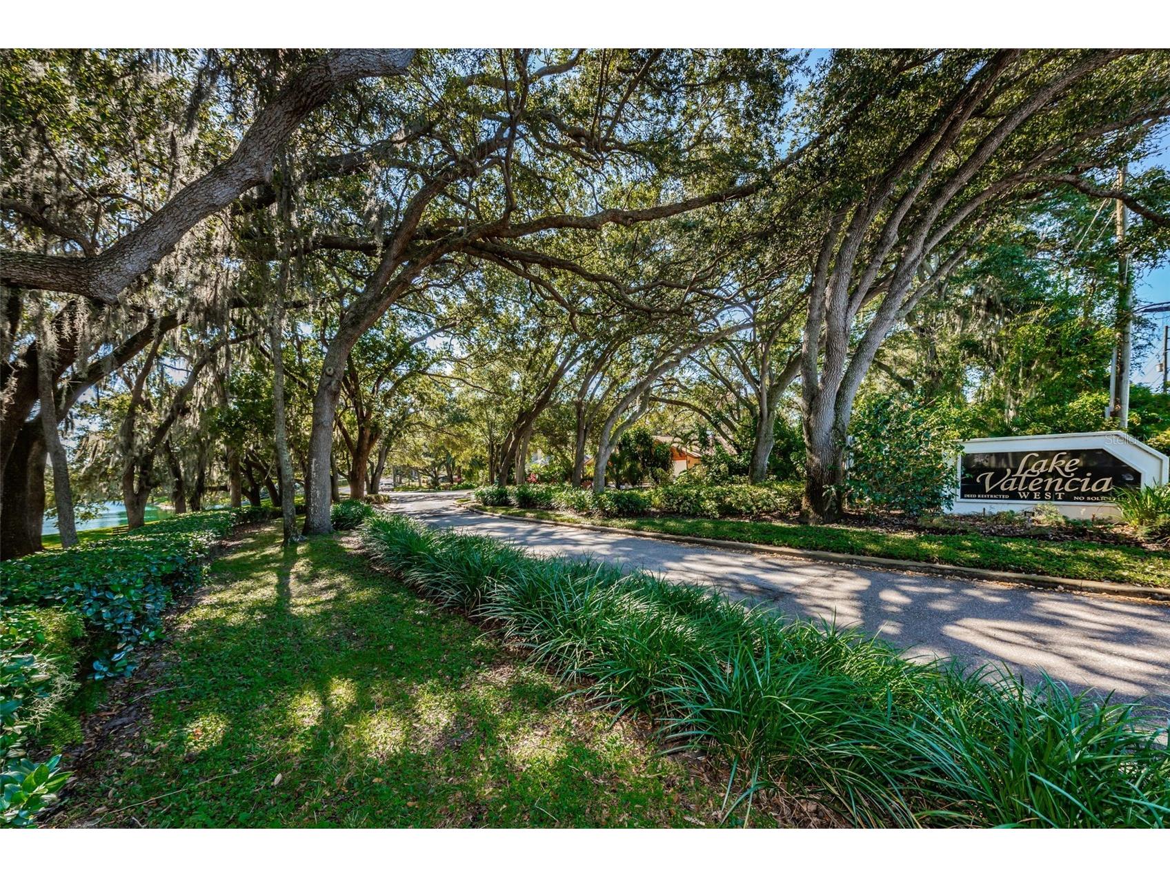 2829 Tangelo Way Palm Harbor FL 34684 TB8509457 image5
