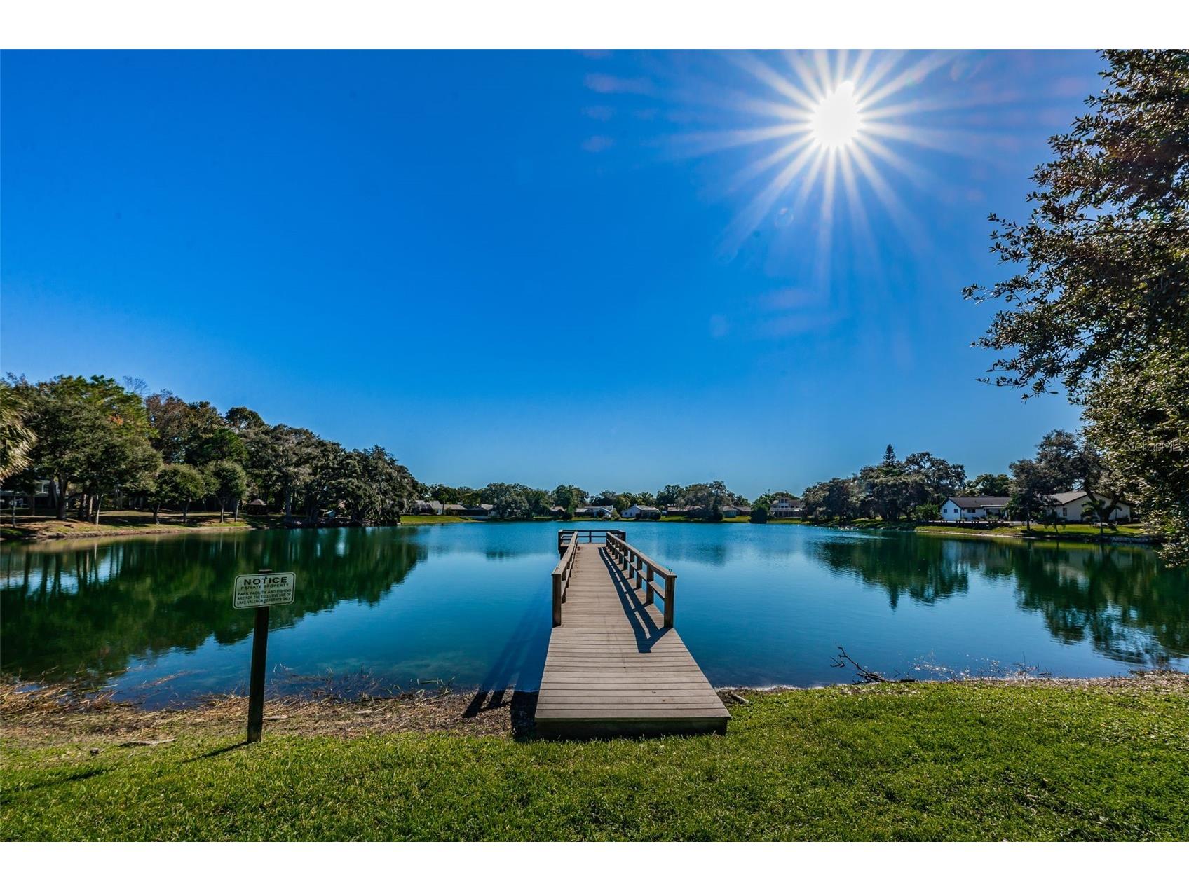2829 Tangelo Way Palm Harbor FL 34684 TB8509457 image50