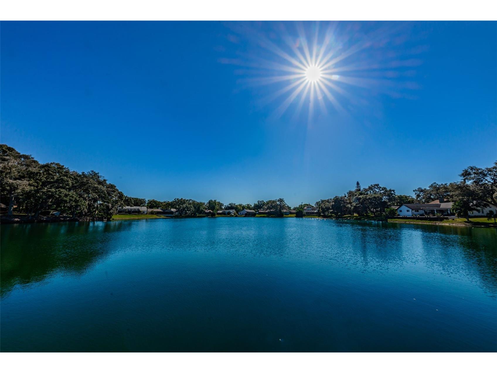 2829 Tangelo Way Palm Harbor FL 34684 TB8509457 image51