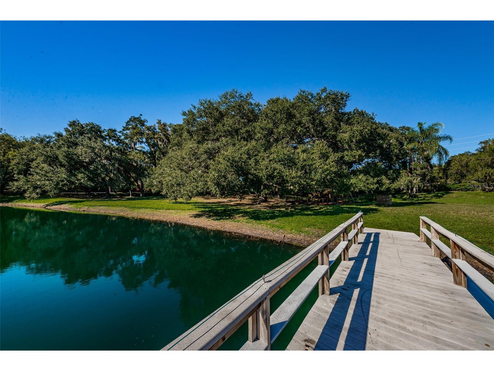 2829 Tangelo Way Palm Harbor FL 34684 TB8509457 image52
