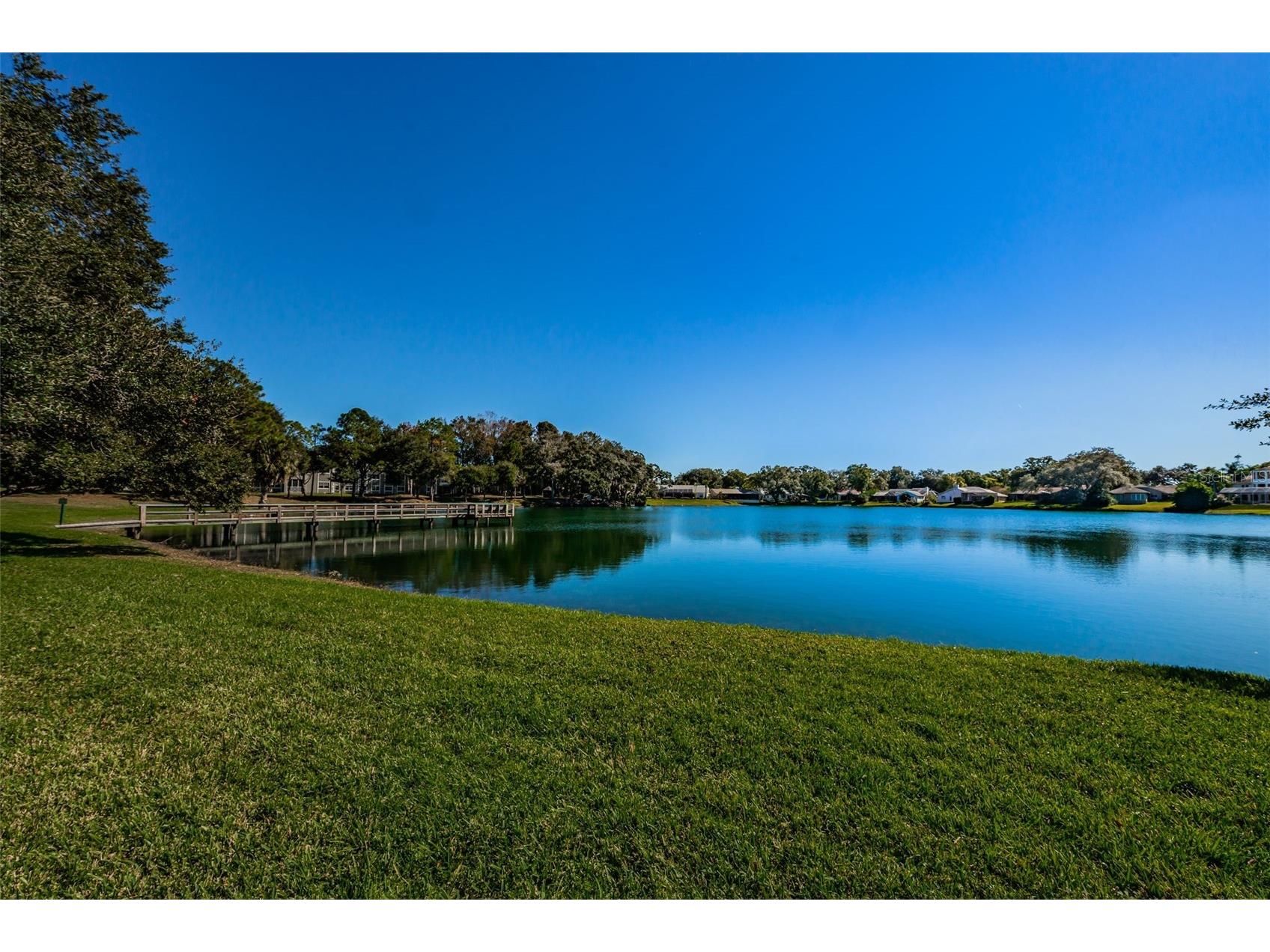 2829 Tangelo Way Palm Harbor FL 34684 TB8509457 image53