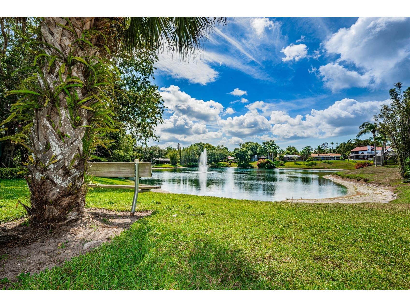 2829 Tangelo Way Palm Harbor FL 34684 TB8509457 image56
