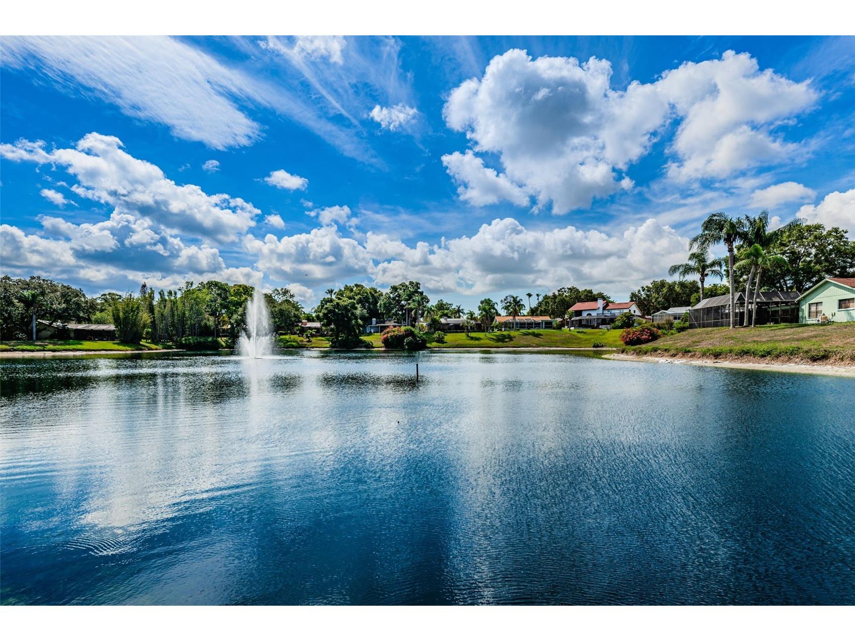 2829 Tangelo Way Palm Harbor FL 34684 TB8509457 image57
