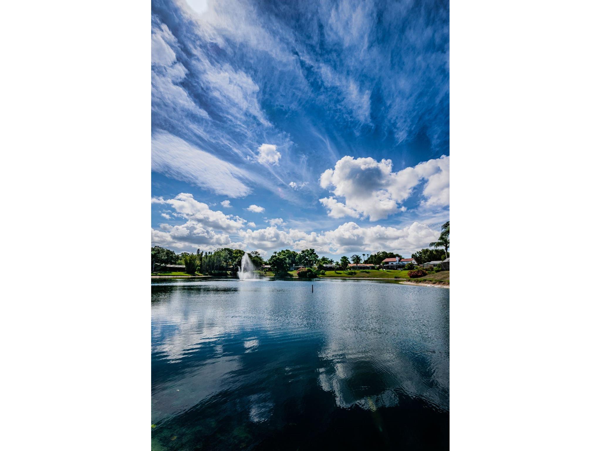 2829 Tangelo Way Palm Harbor FL 34684 TB8509457 image58