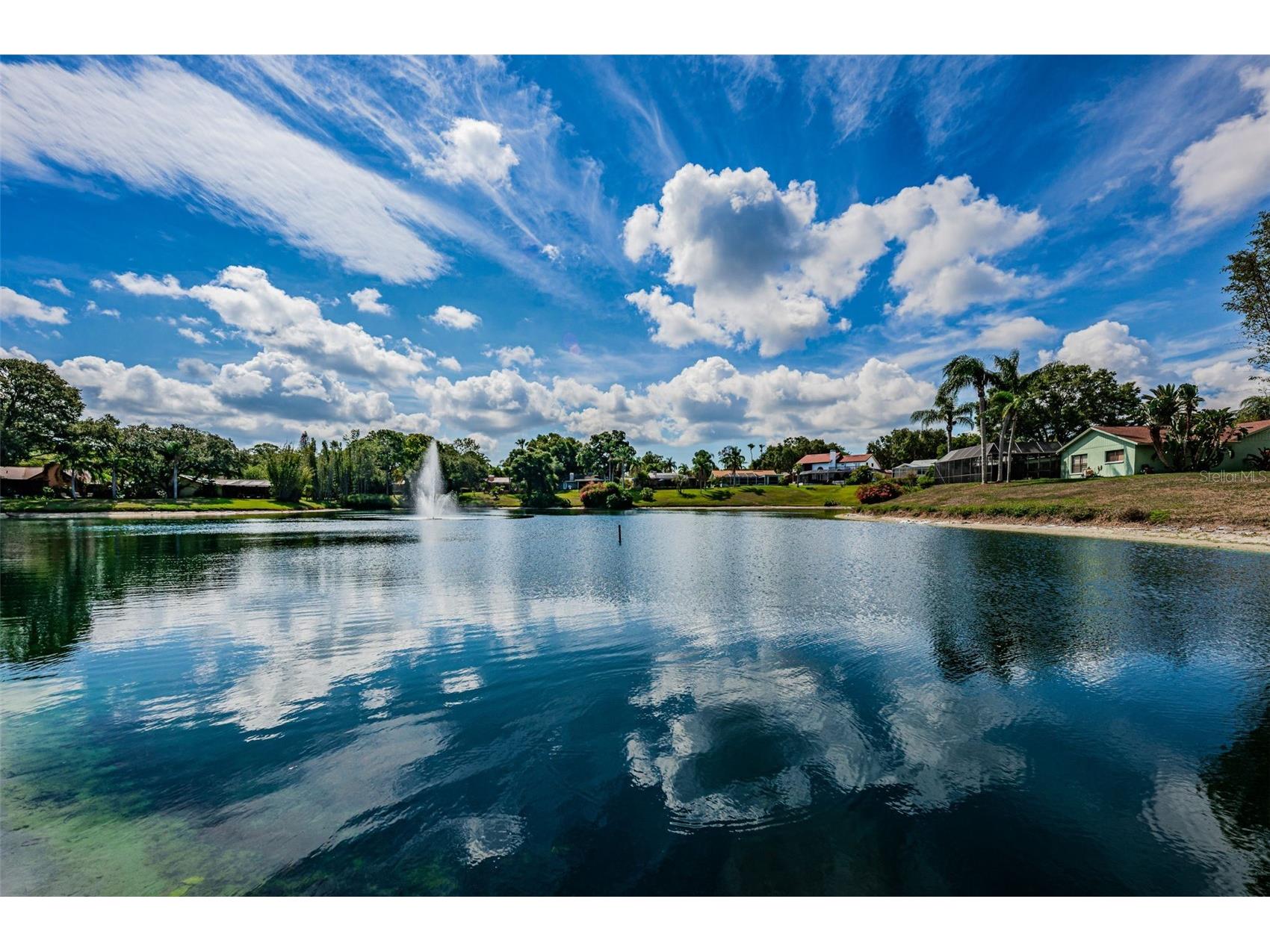 2829 Tangelo Way Palm Harbor FL 34684 TB8509457 image59