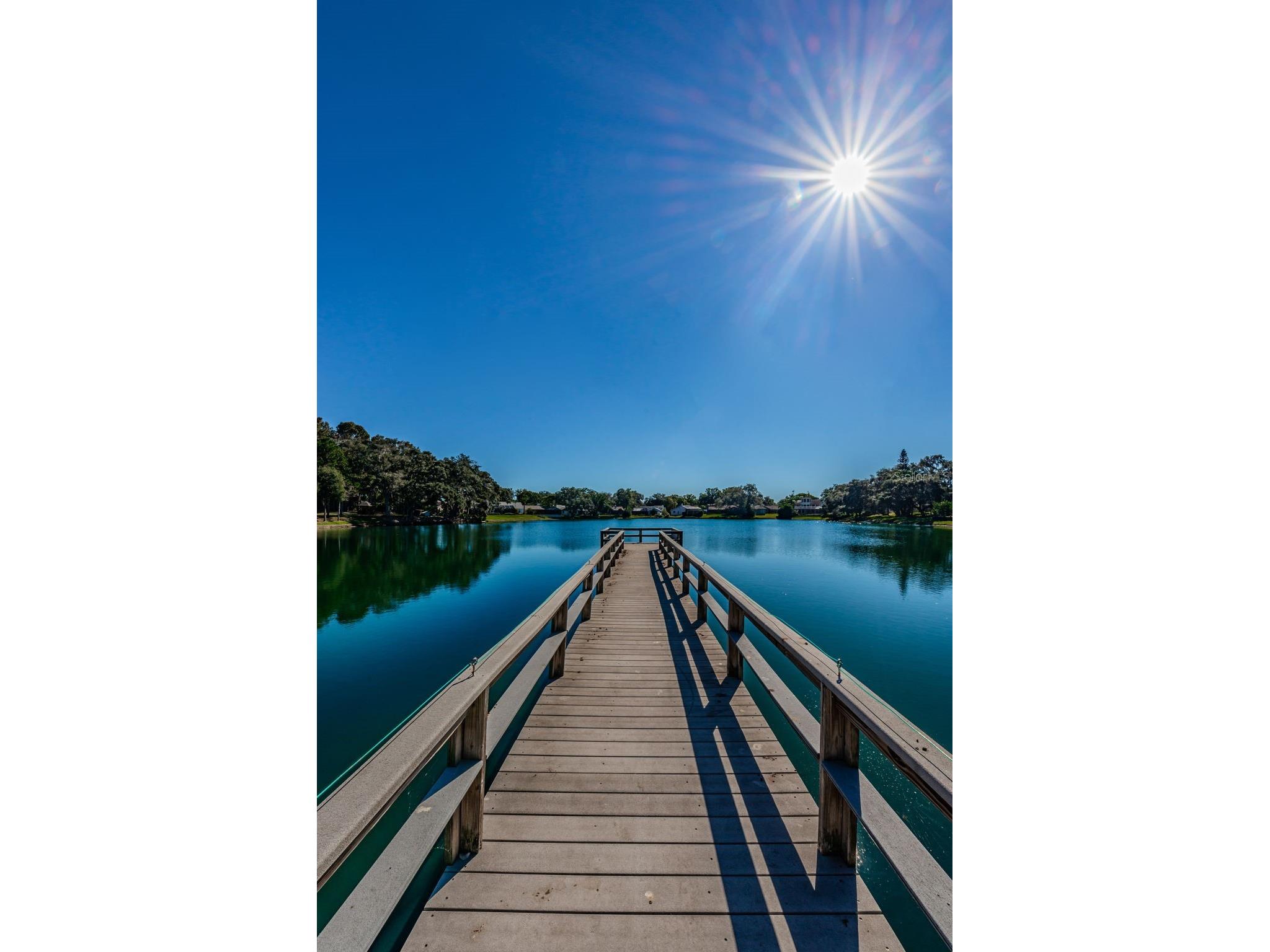 2829 Tangelo Way Palm Harbor FL 34684 TB8509457 image6