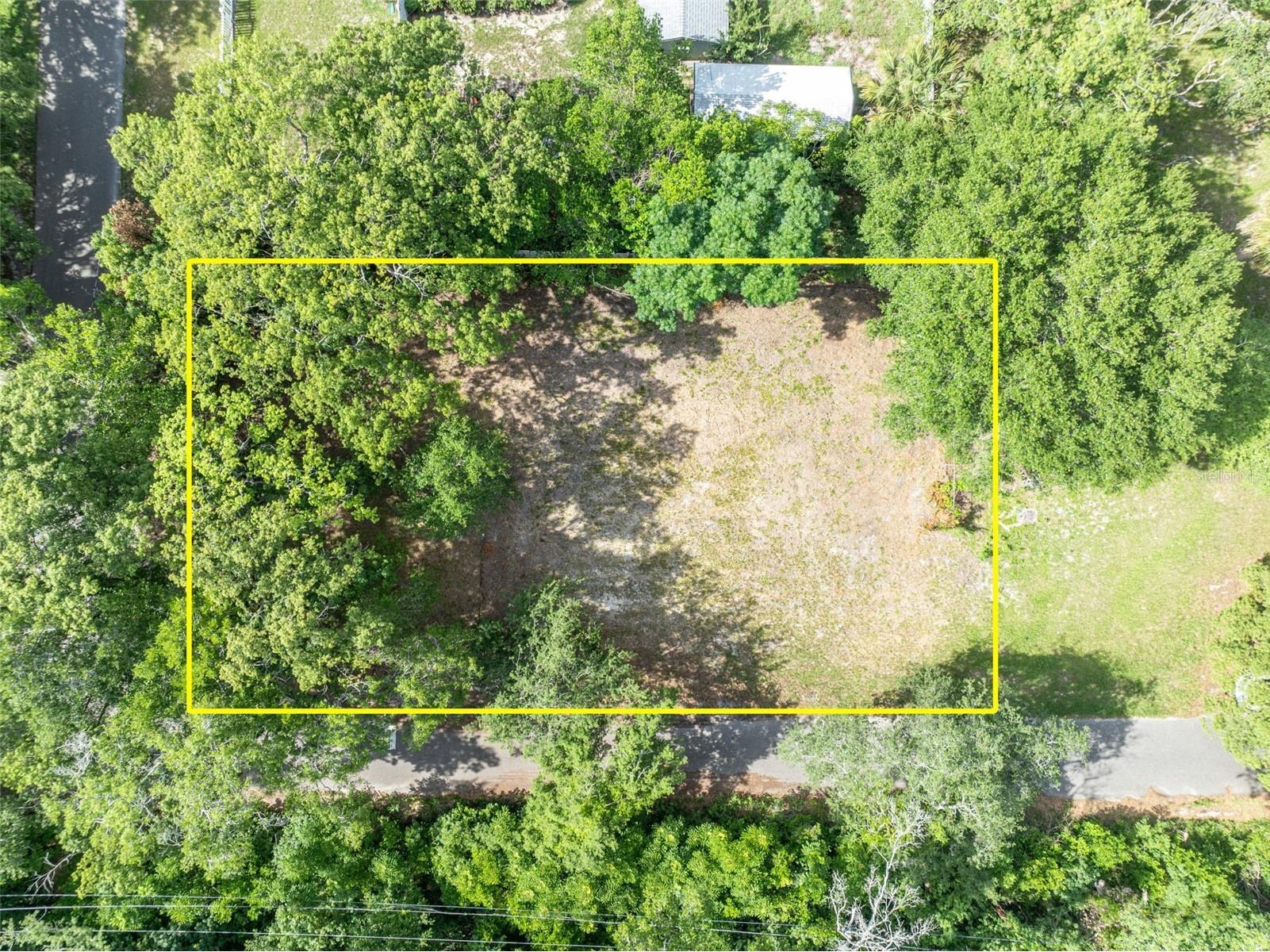 283 Greenleaf Lane Lake Mary FL 32746 O6417228 image4
