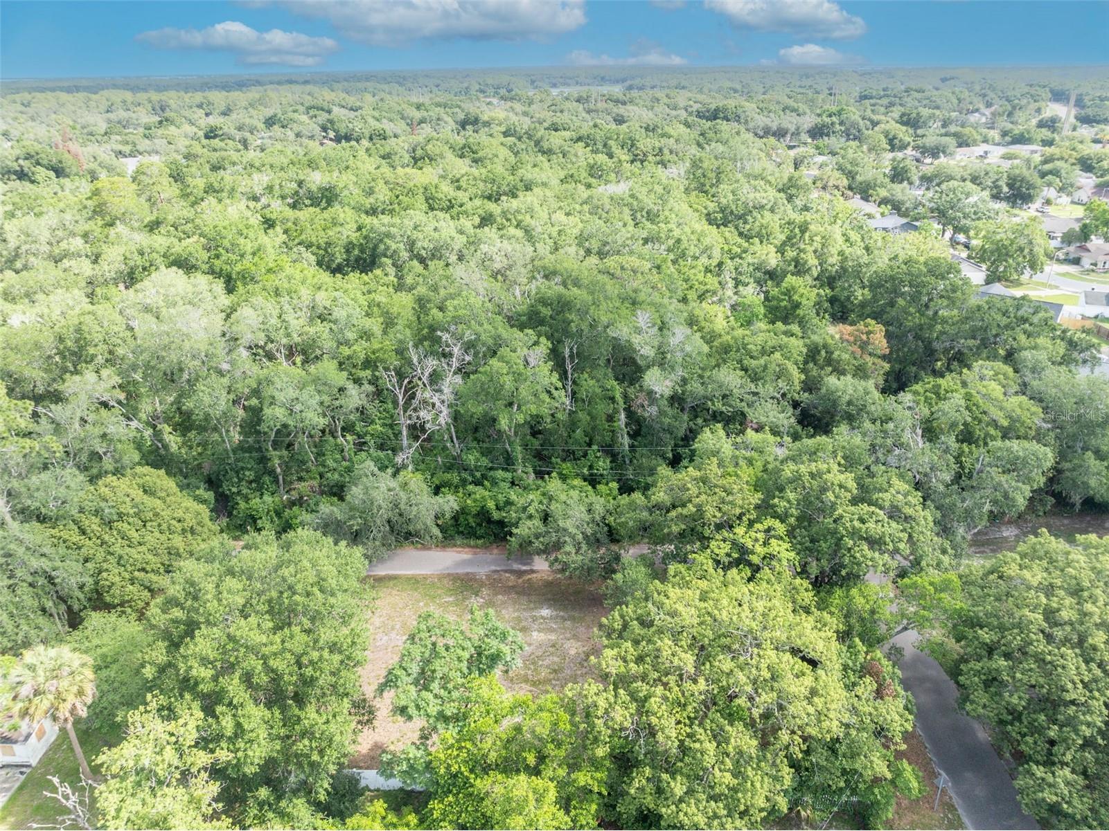 283 Greenleaf Lane Lake Mary FL 32746 O6417228 image6