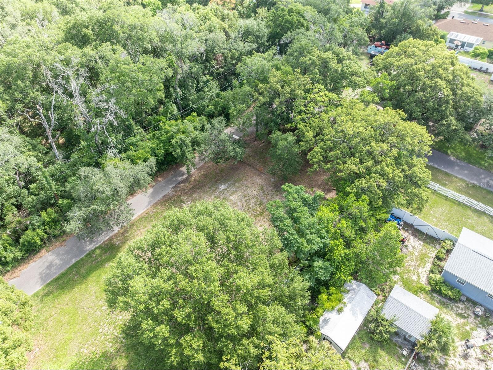 283 Greenleaf Lane Lake Mary FL 32746 O6417228 image7