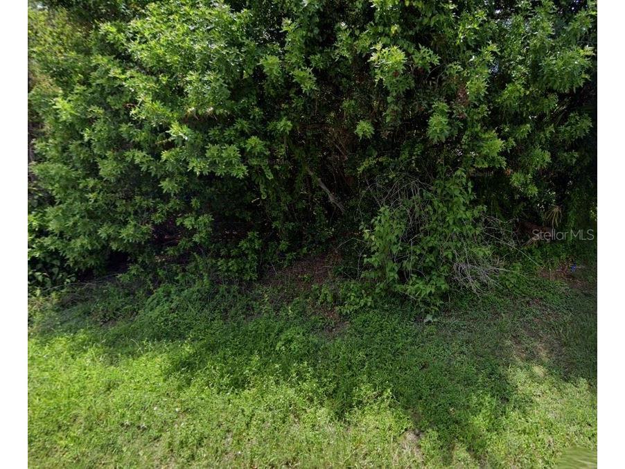 283 Vilna Street Port Charlotte FL 33954 T3480648 image1