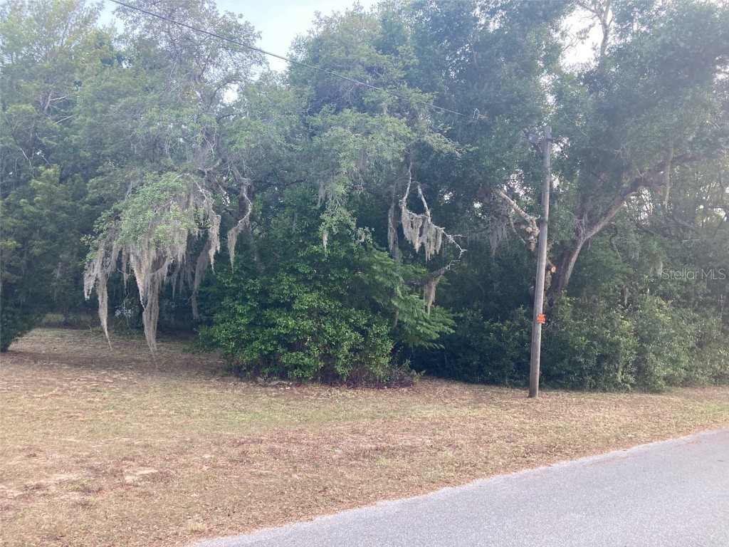 2830 Laurel Avenue Lake Wales FL 33898 T3531750 image4