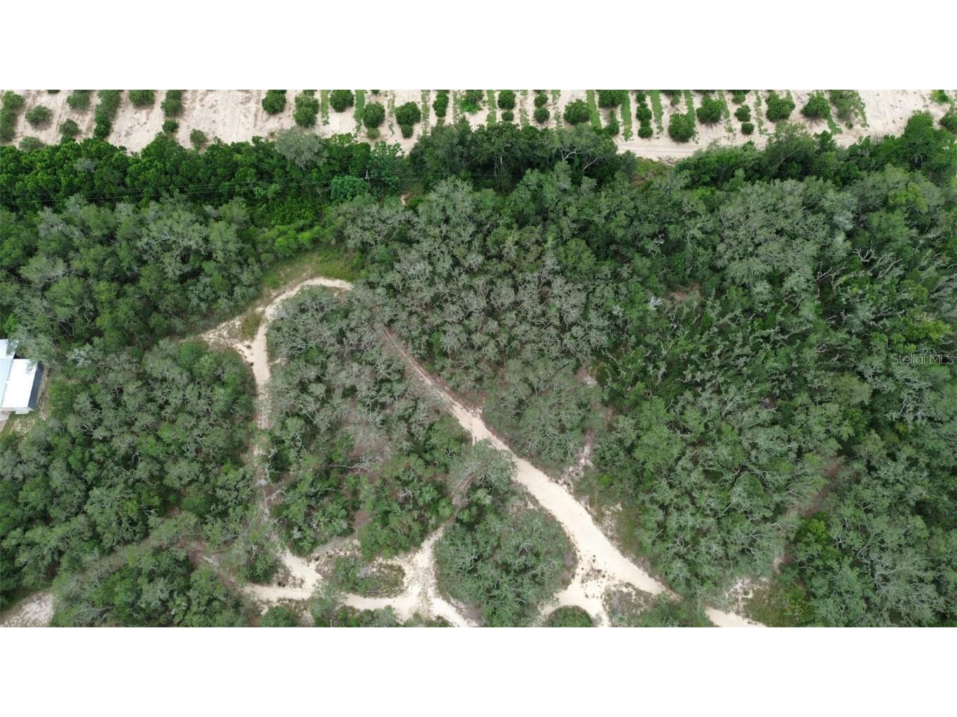 2830 Laurel Avenue Lake Wales FL 33898 T3531750 image7