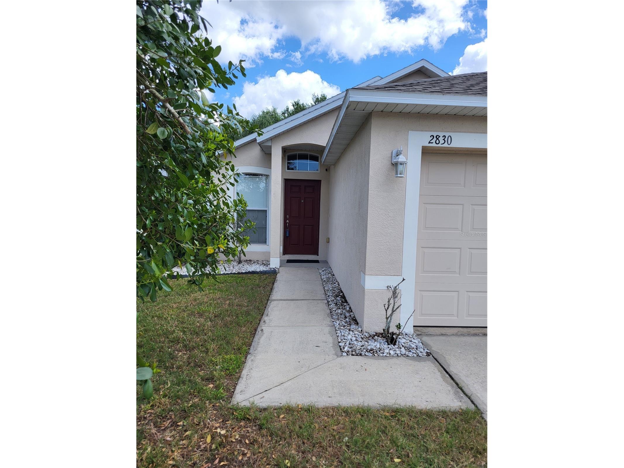 2830 Mingo Drive Land O Lakes FL 34638 W7884242 image2