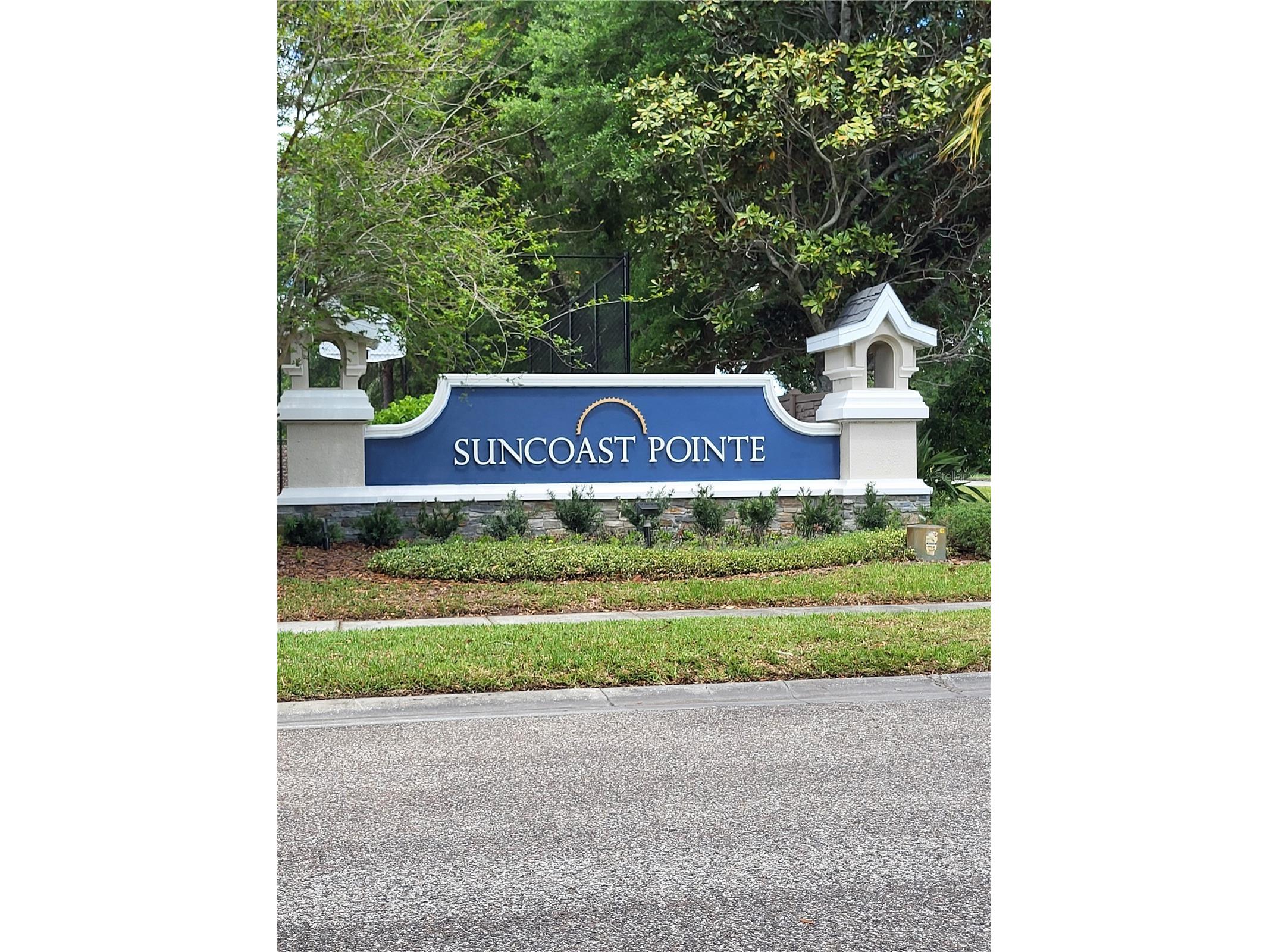 2830 Mingo Drive Land O Lakes FL 34638 W7884242 image34