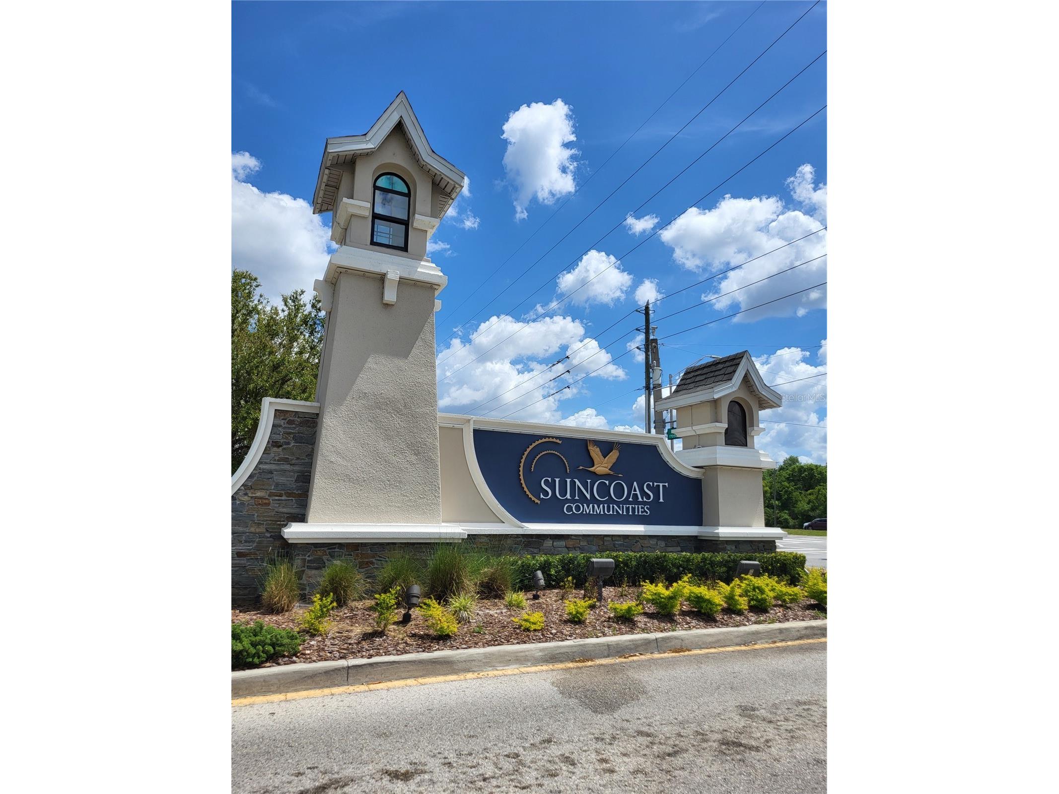 2830 Mingo Drive Land O Lakes FL 34638 W7884242 image35