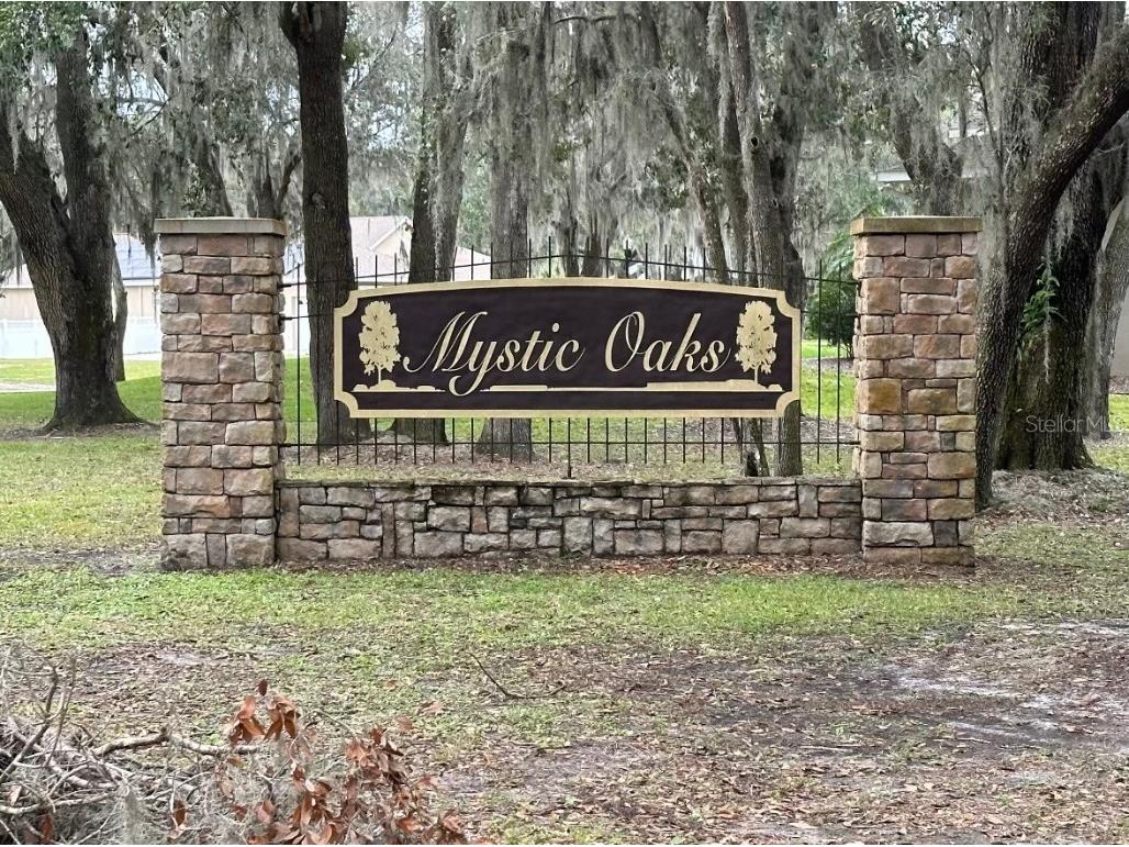2830 Mystic Oaks Drive Plant City FL 33563 L4935319 image1