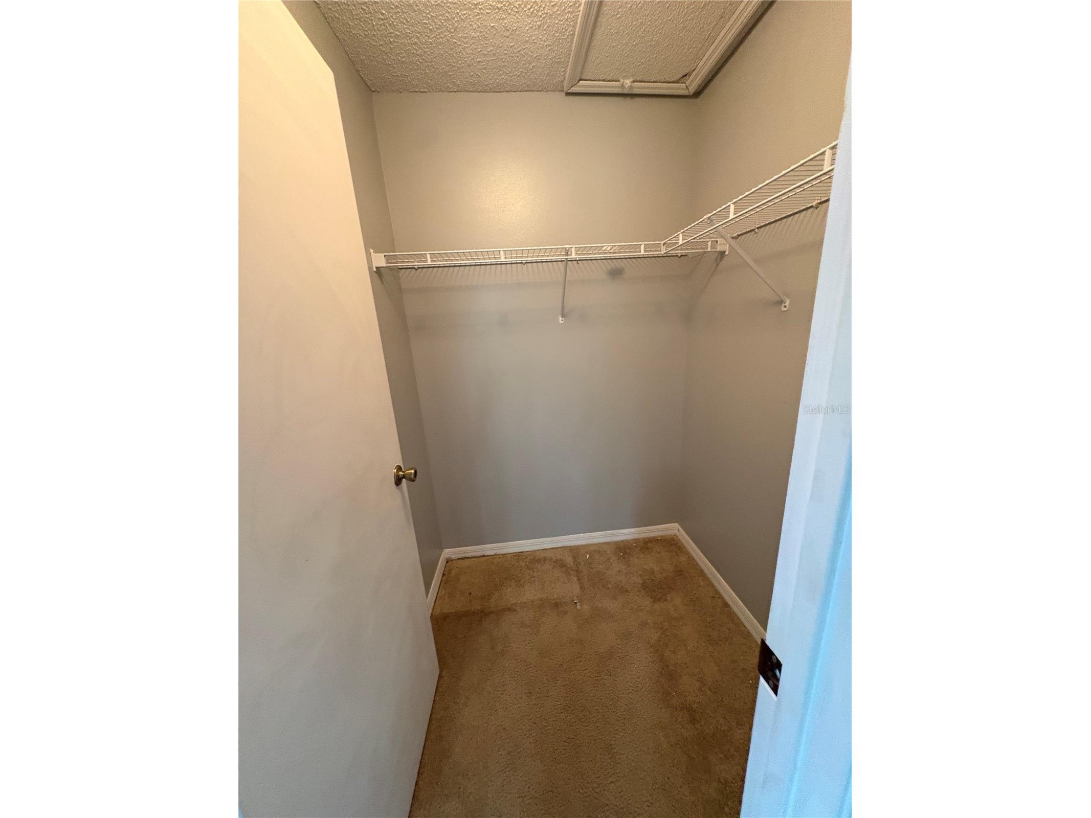 2830 Osprey Cove Place #204 Kissimmee FL 34746 O6412595 image17