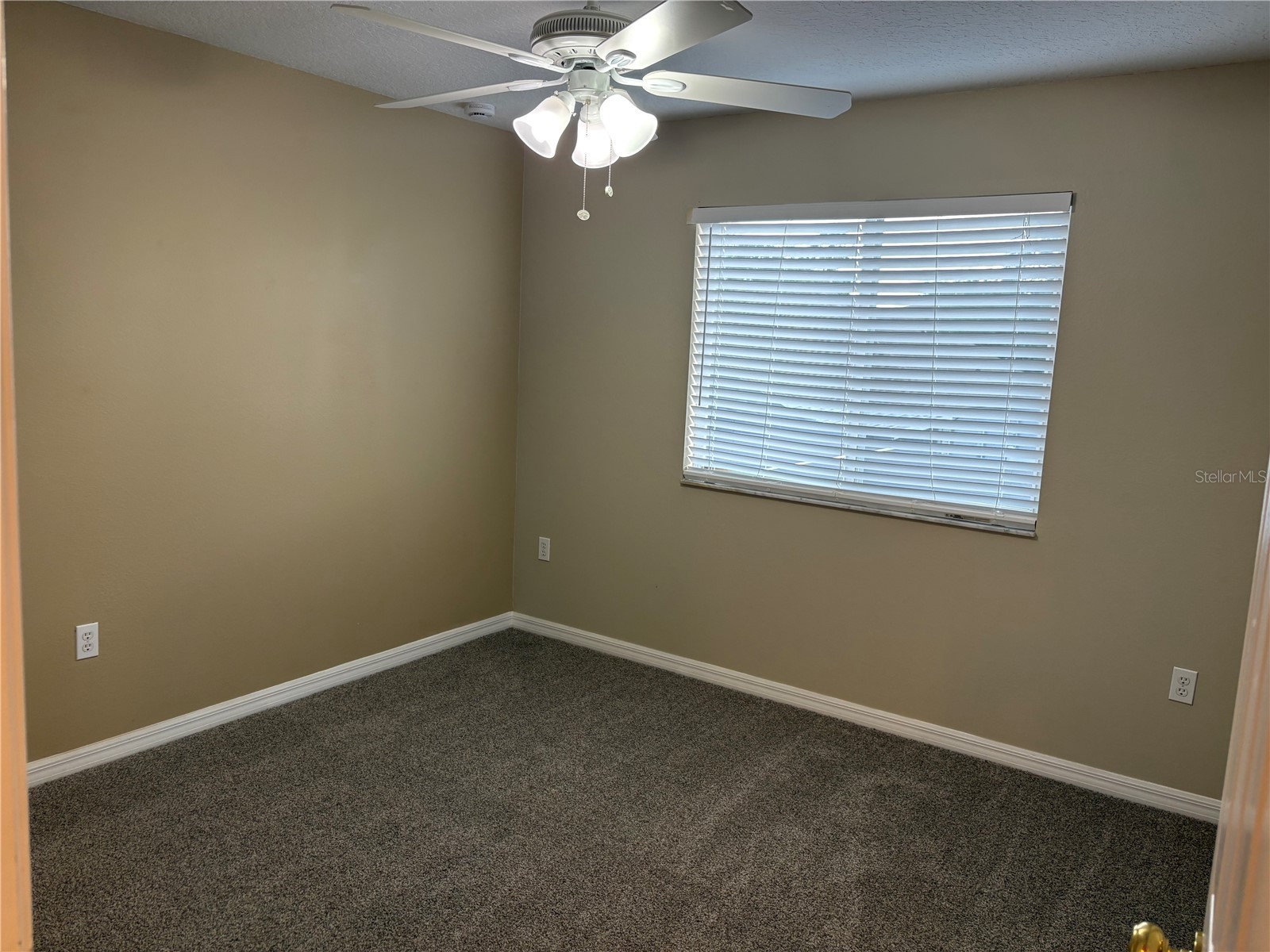 2830 Pankaw Lane Valrico FL 33596 TB8527113 image32
