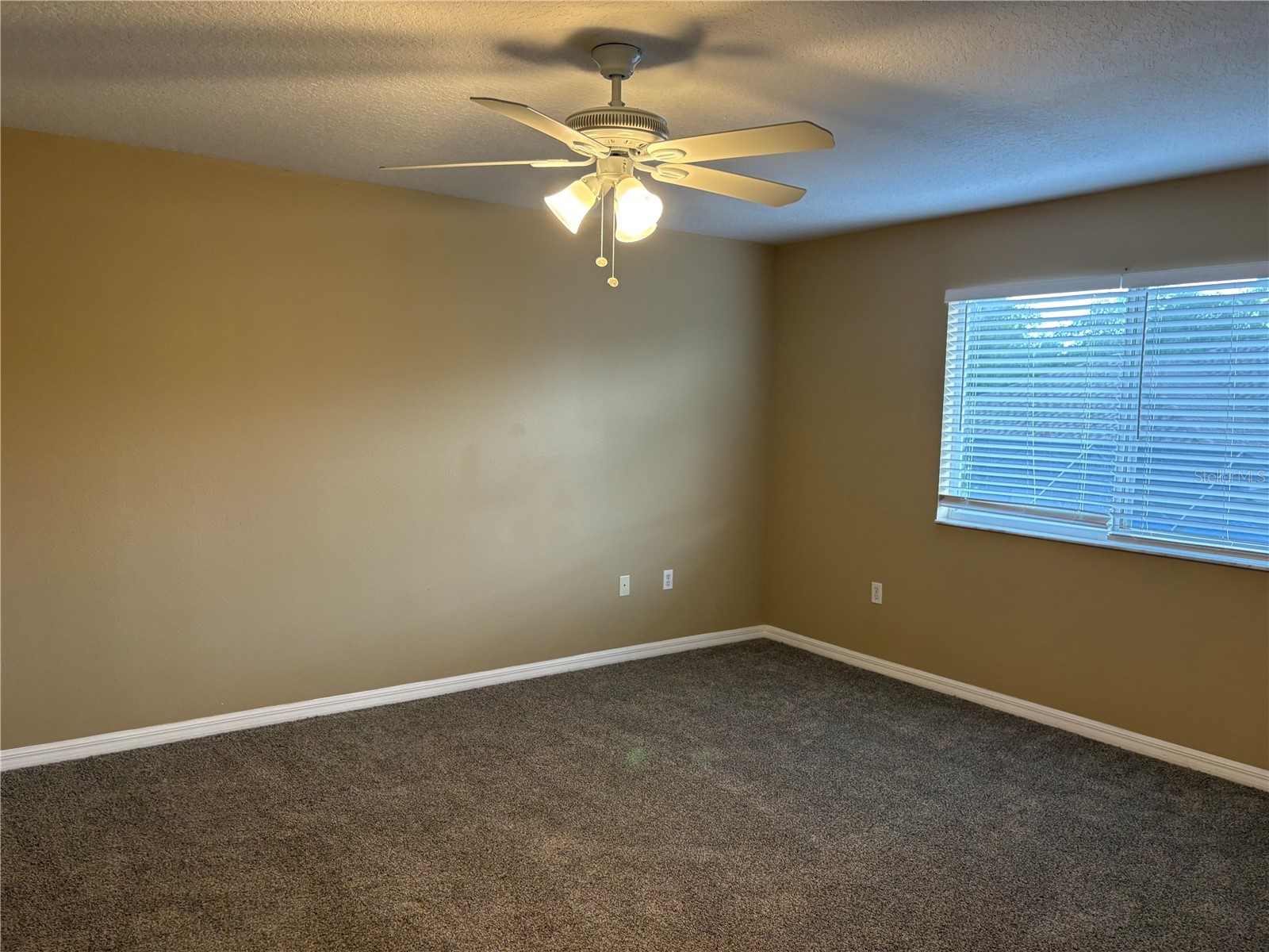 2830 Pankaw Lane Valrico FL 33596 TB8527113 image34