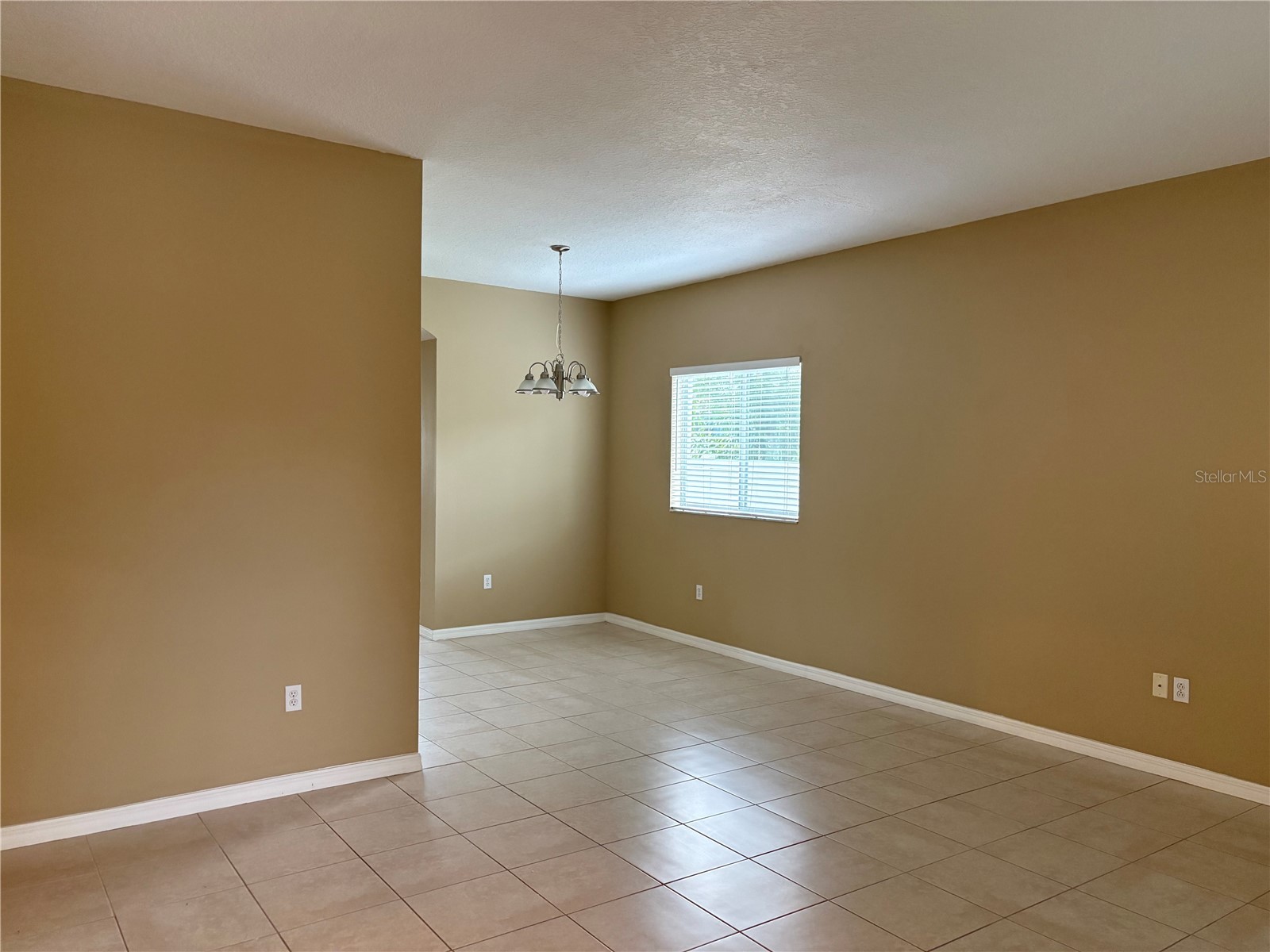 2830 Pankaw Lane Valrico FL 33596 TB8527113 image35