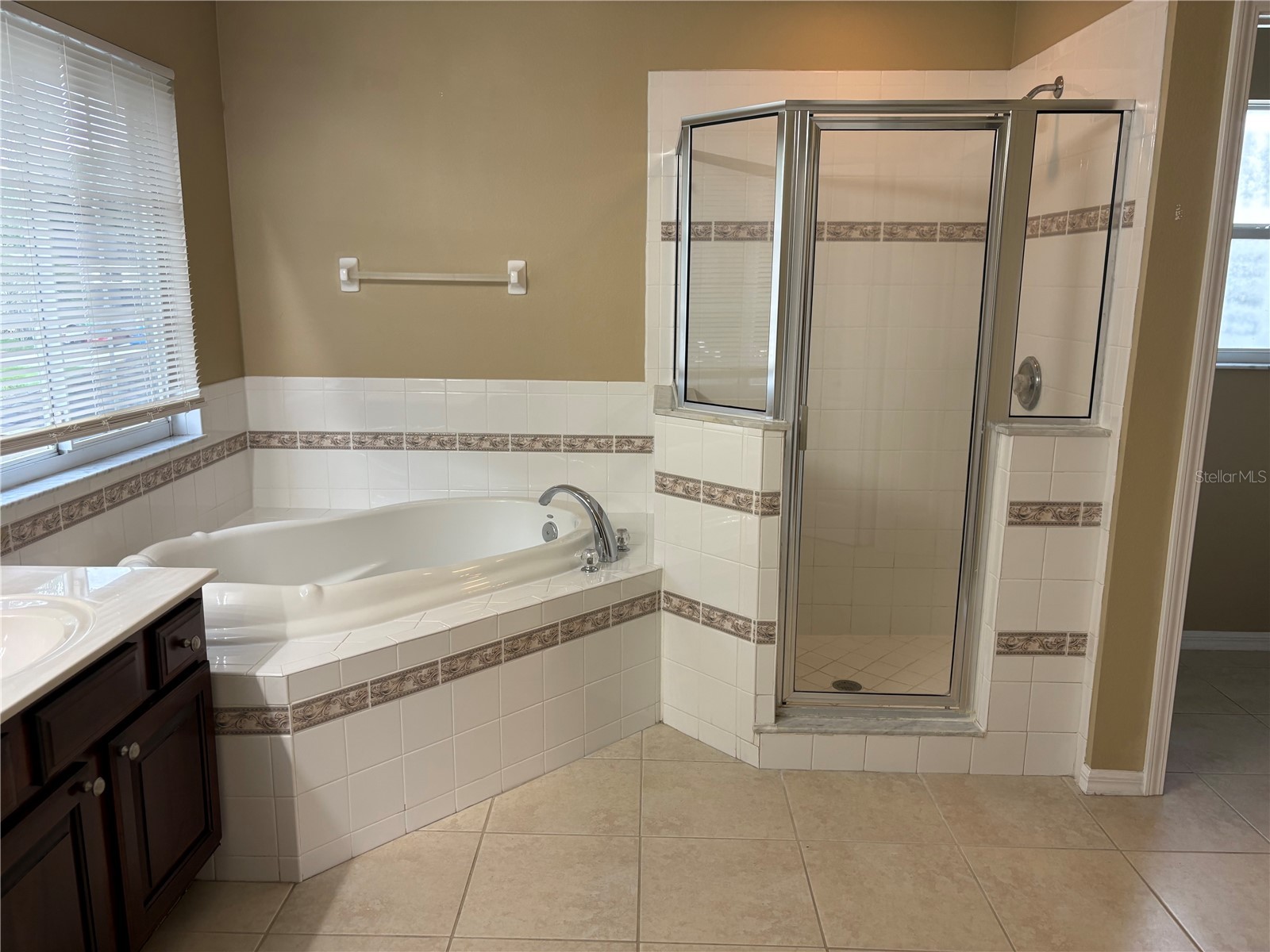 2830 Pankaw Lane Valrico FL 33596 TB8527113 image38