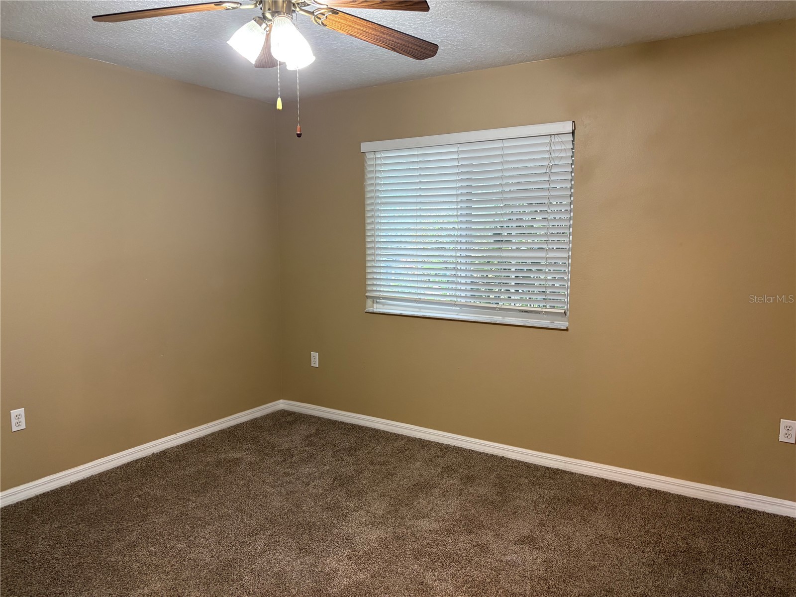 2830 Pankaw Lane Valrico FL 33596 TB8527113 image40