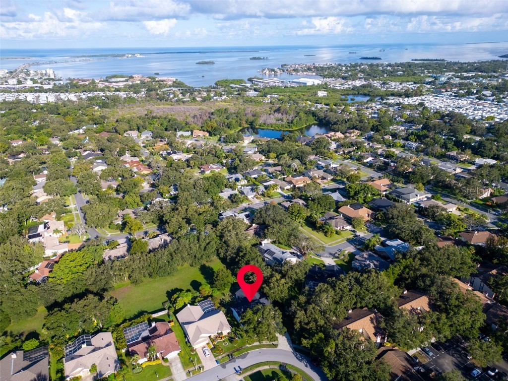 2830 Resnik Circle W Palm Harbor FL 34683 TB8417724 image45