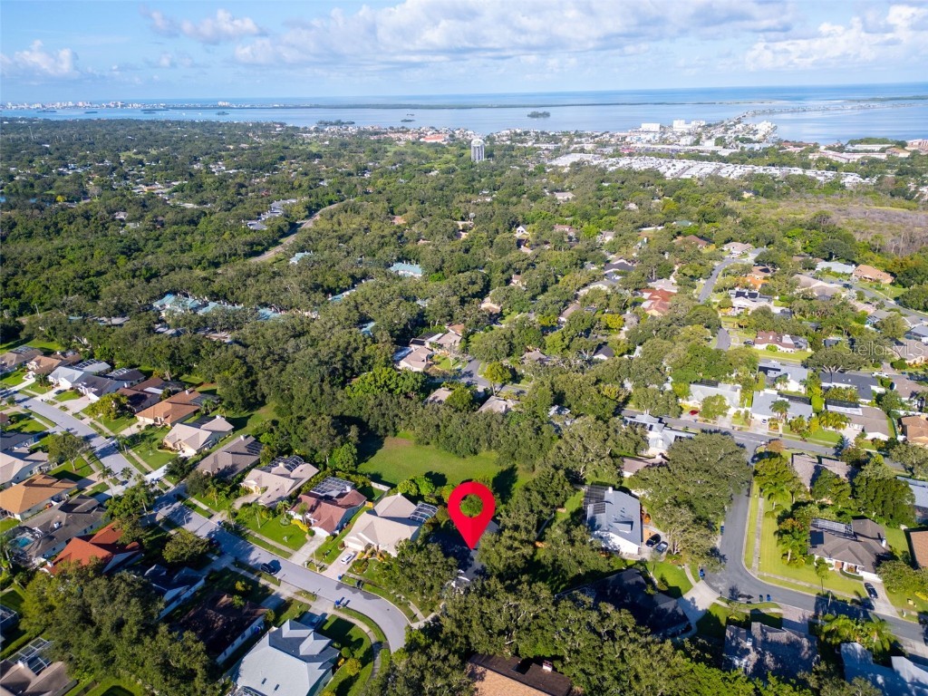 2830 Resnik Circle W Palm Harbor FL 34683 TB8417724 image46