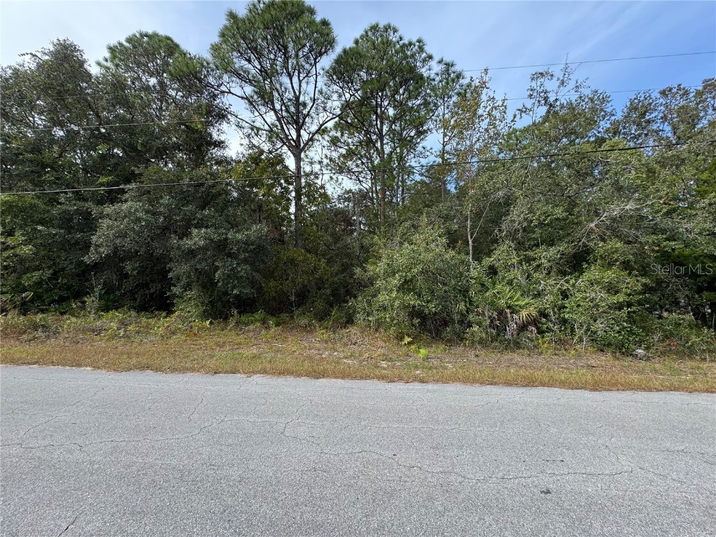 2830 S Bolton Avenue Homosassa FL 34448 TB8445996 image1