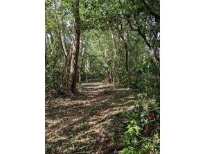 2830 S French Avenue Sanford FL 32773 O6356621 image8