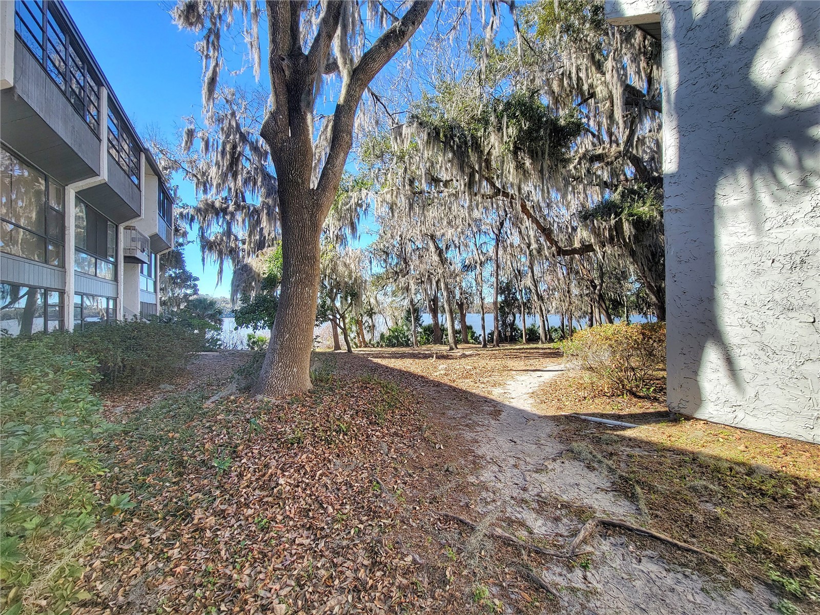 2830 SW 14th Drive Gainesville FL 32608 GC537349 image18