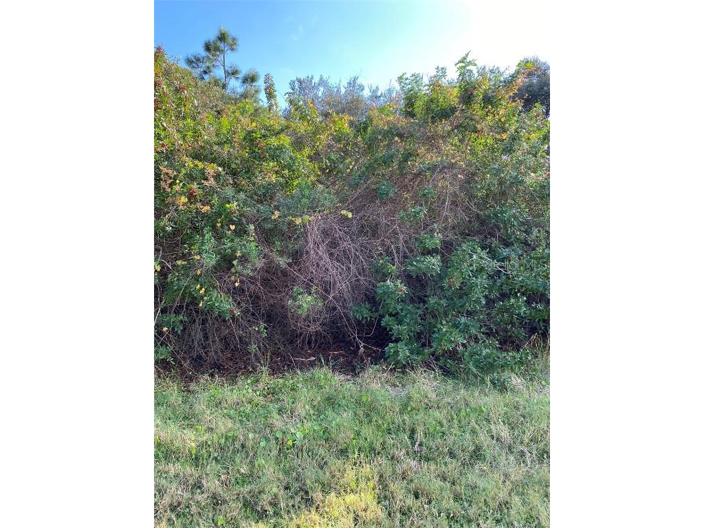 2831 Jacobs Street Port Charlotte FL 33953 C7454771 image1