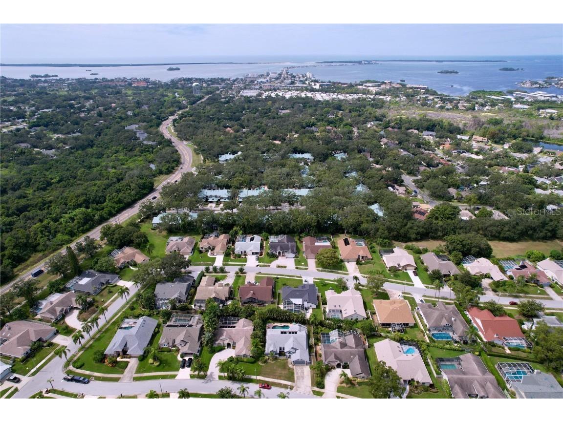 2831 Jarvis Circle Palm Harbor FL 34683 TB8307568 image51