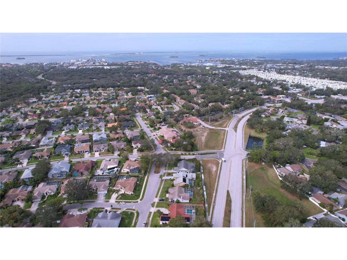 2831 Jarvis Circle Palm Harbor FL 34683 TB8307568 image52