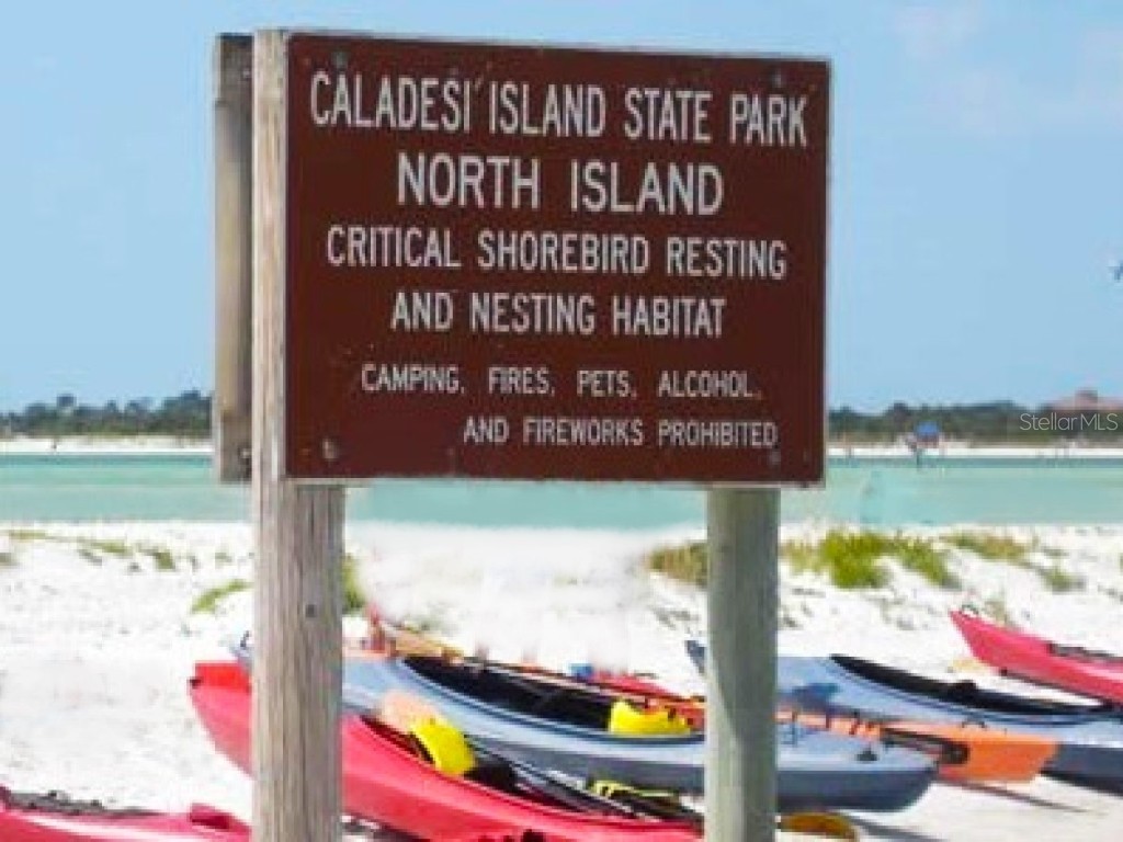 2831 Jarvis Circle Palm Harbor FL 34683 TB8307568 image62