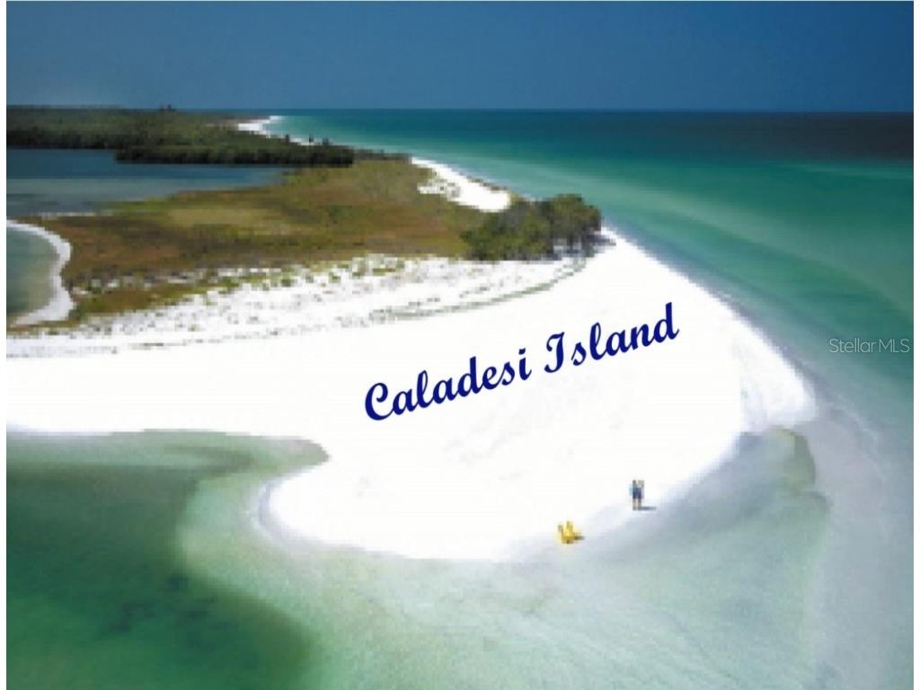 2831 Jarvis Circle Palm Harbor FL 34683 TB8307568 image63