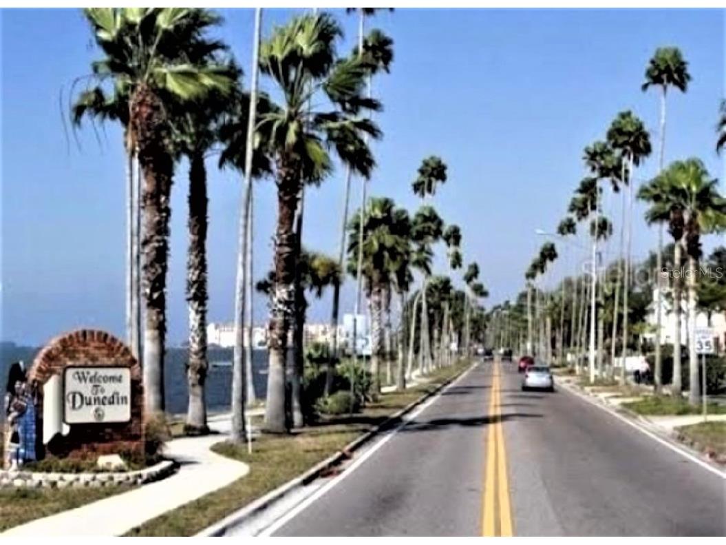 2831 Jarvis Circle Palm Harbor FL 34683 TB8307568 image68