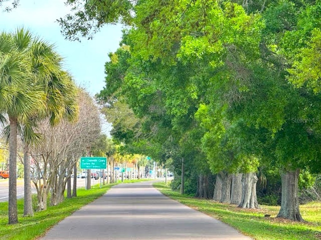 2831 Jarvis Circle Palm Harbor FL 34683 TB8307568 image70