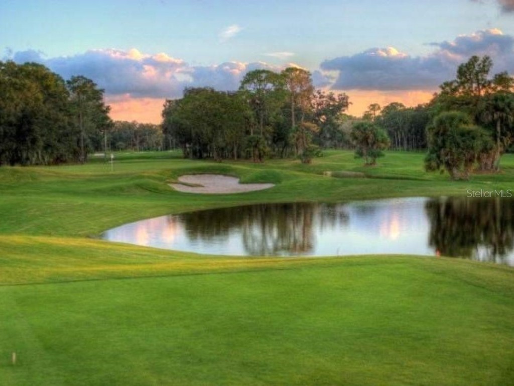 2831 Jarvis Circle Palm Harbor FL 34683 TB8307568 image75