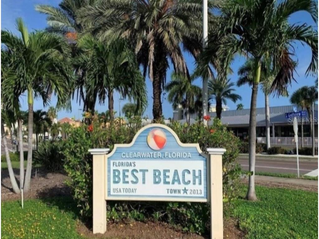 2831 Jarvis Circle Palm Harbor FL 34683 TB8307568 image76