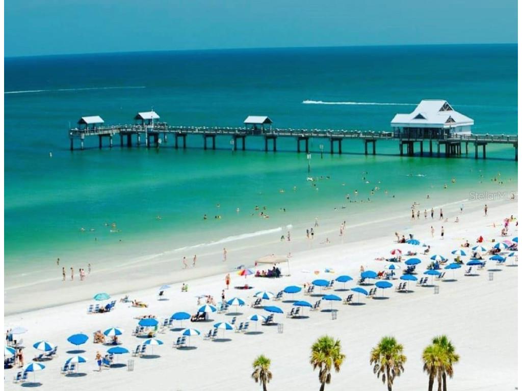 2831 Jarvis Circle Palm Harbor FL 34683 TB8307568 image78