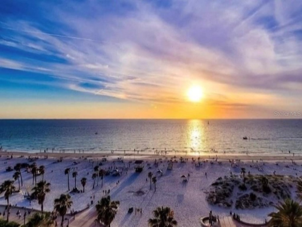 2831 Jarvis Circle Palm Harbor FL 34683 TB8307568 image79