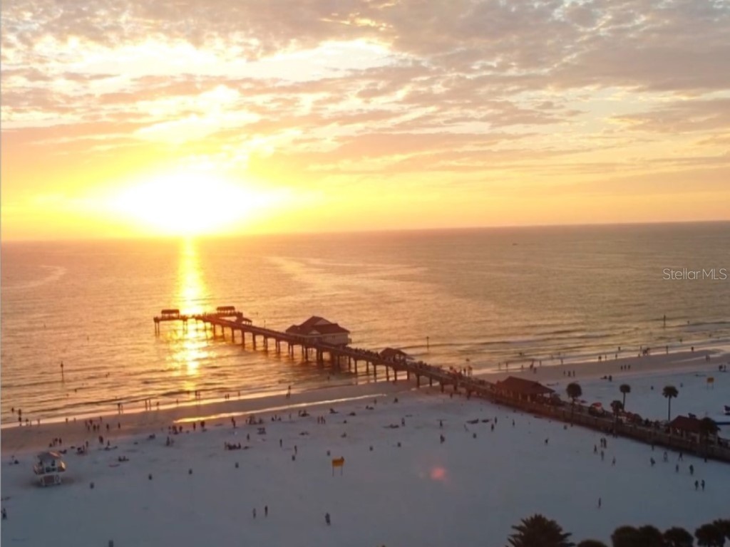 2831 Jarvis Circle Palm Harbor FL 34683 TB8307568 image80