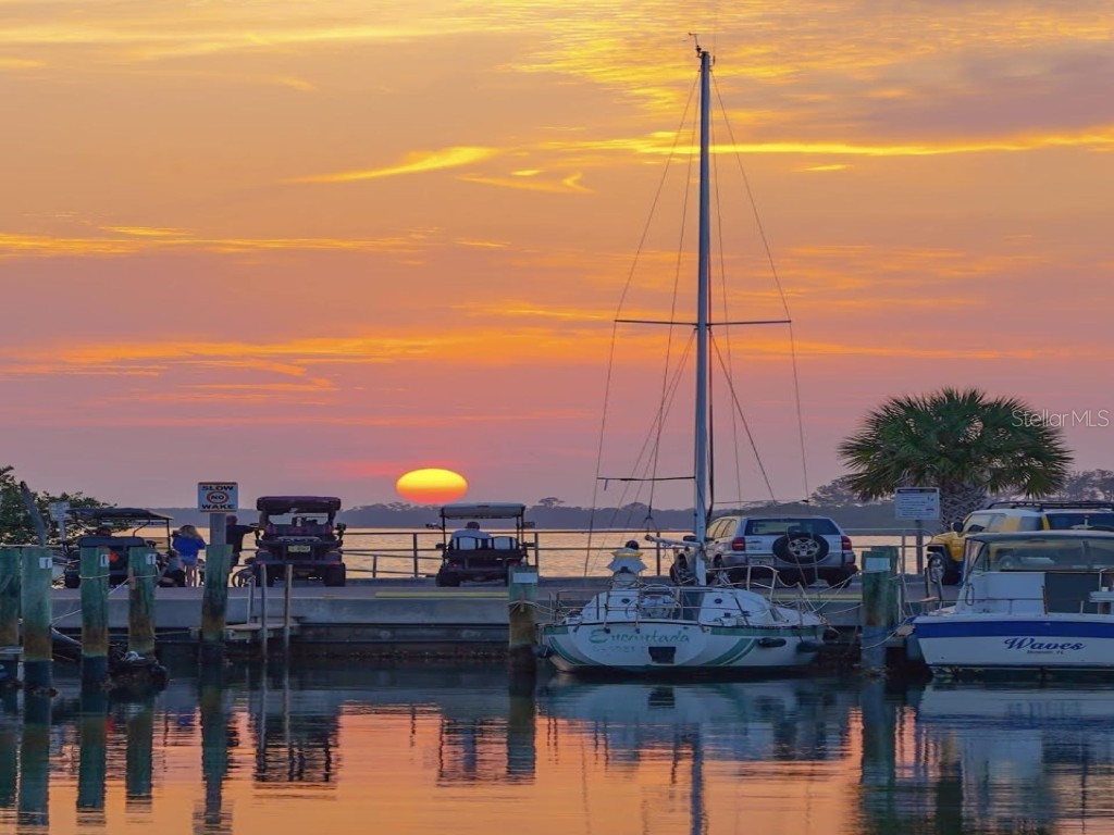 2831 Jarvis Circle Palm Harbor FL 34683 TB8307568 image81