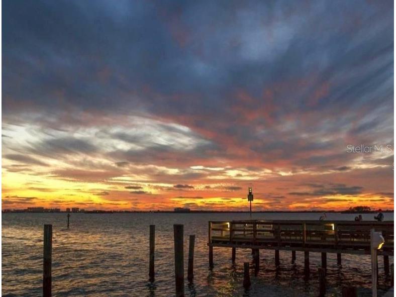 2831 Jarvis Circle Palm Harbor FL 34683 TB8307568 image82